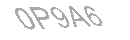 Güvenlik Kodu
