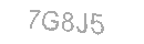 Güvenlik Kodu