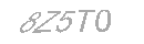 Güvenlik Kodu