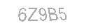 Güvenlik Kodu