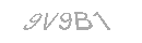 Güvenlik Kodu
