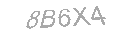 Güvenlik Kodu