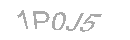 Güvenlik Kodu