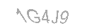 Güvenlik Kodu