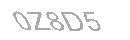 Güvenlik Kodu