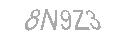Güvenlik Kodu